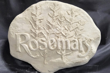 Plants - Rosemary