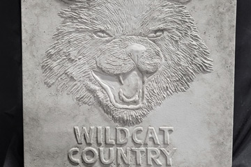 Wildcat